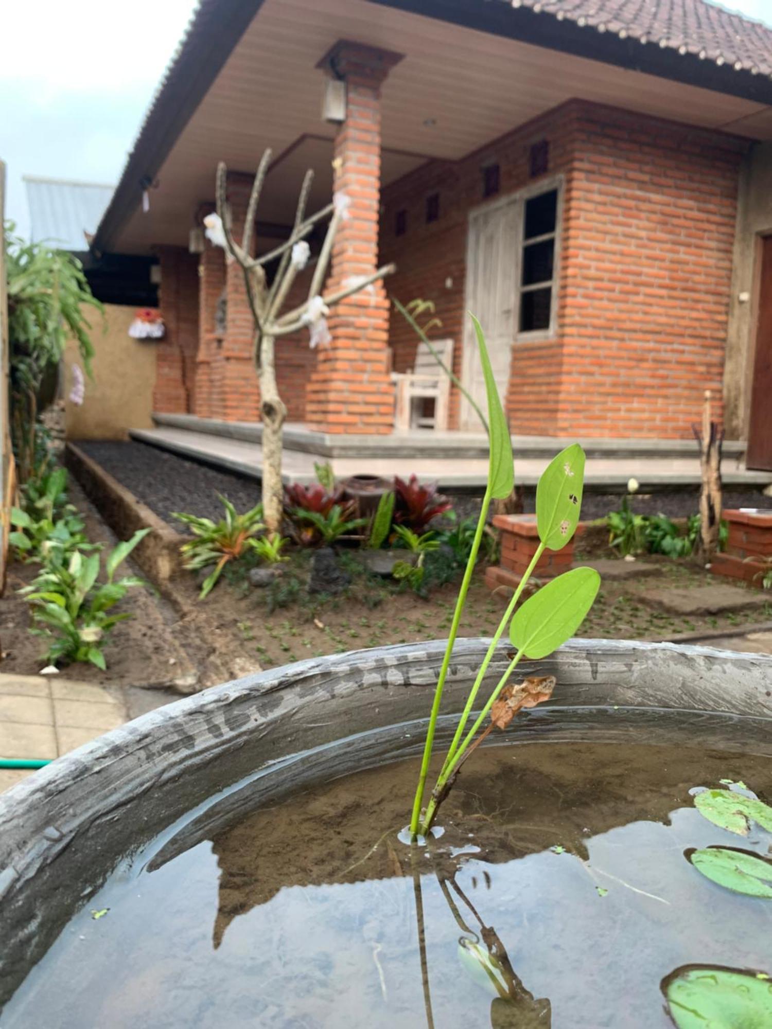 Ambara Guest House Tampaksiring المظهر الخارجي الصورة